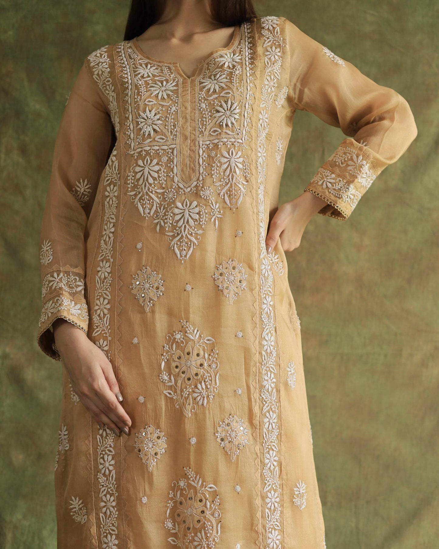 Beige Noor Organza Applique Chikankari Mukaish Kurta Dupatta Set
