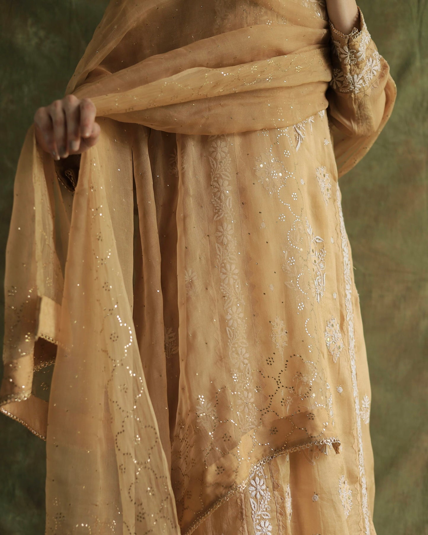 Beige Noor Organza Applique Chikankari Mukaish Kurta Dupatta Set
