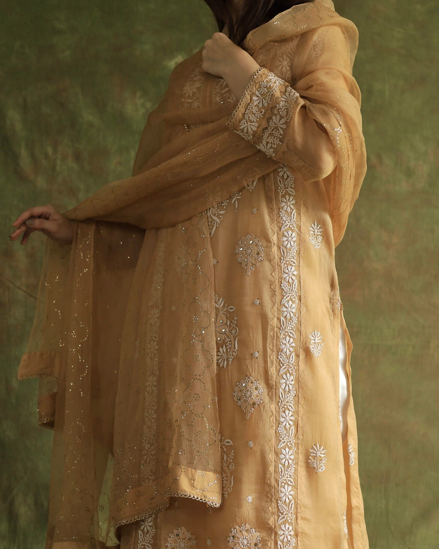 Beige Noor Organza Applique Chikankari Mukaish Kurta Dupatta Set