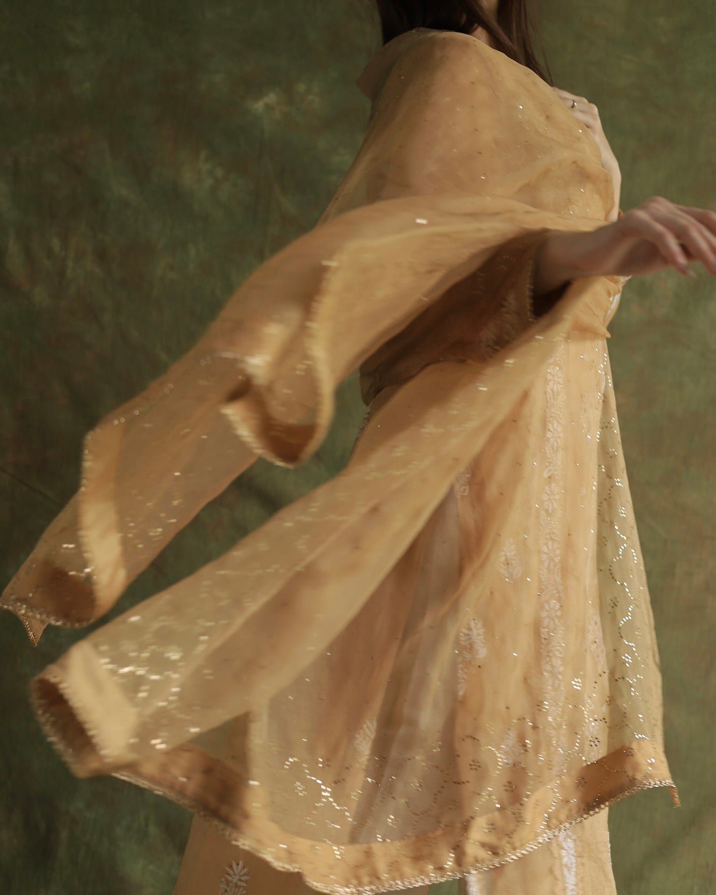 Beige Noor Organza Applique Chikankari Mukaish Kurta Dupatta Set