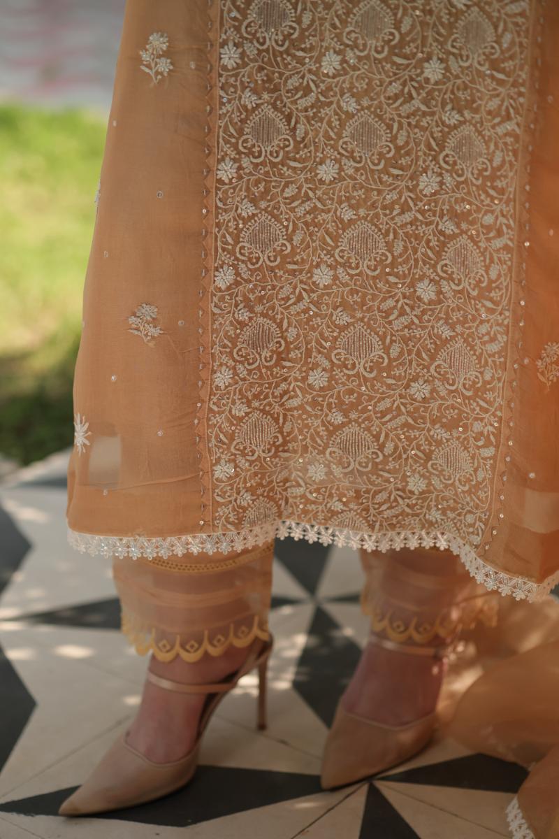 Beige Noor Organza Silk Chikankari Straight Cut Kurta Dupatta Set