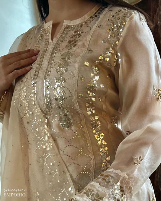 Beige Noor Organza Applique Kurta Set
