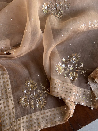 Beige Noor Organza Mukaish Badla Floral Dupatta