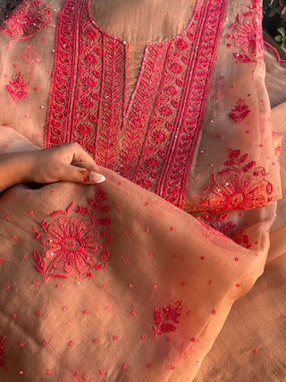 Beige & Red Noor Organza Silk Chikankari Unstitched Kurta Dupatta Set