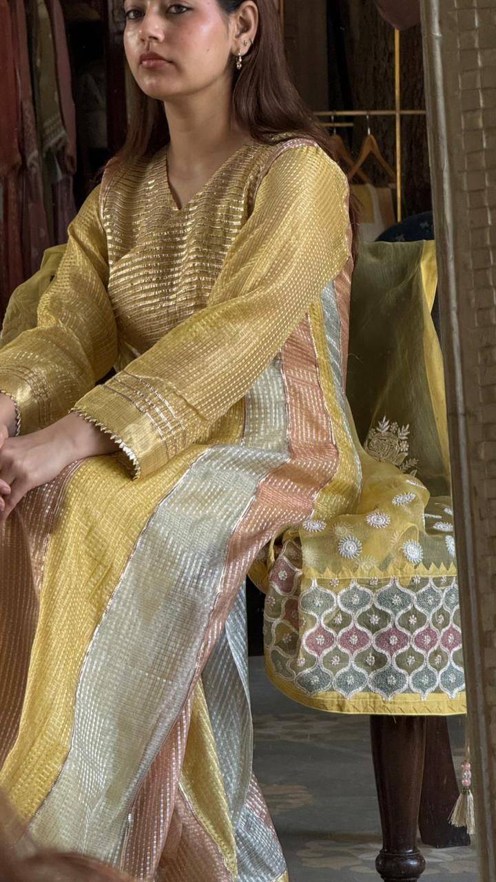 Handloom Tissue Kota Cassata Anarkali