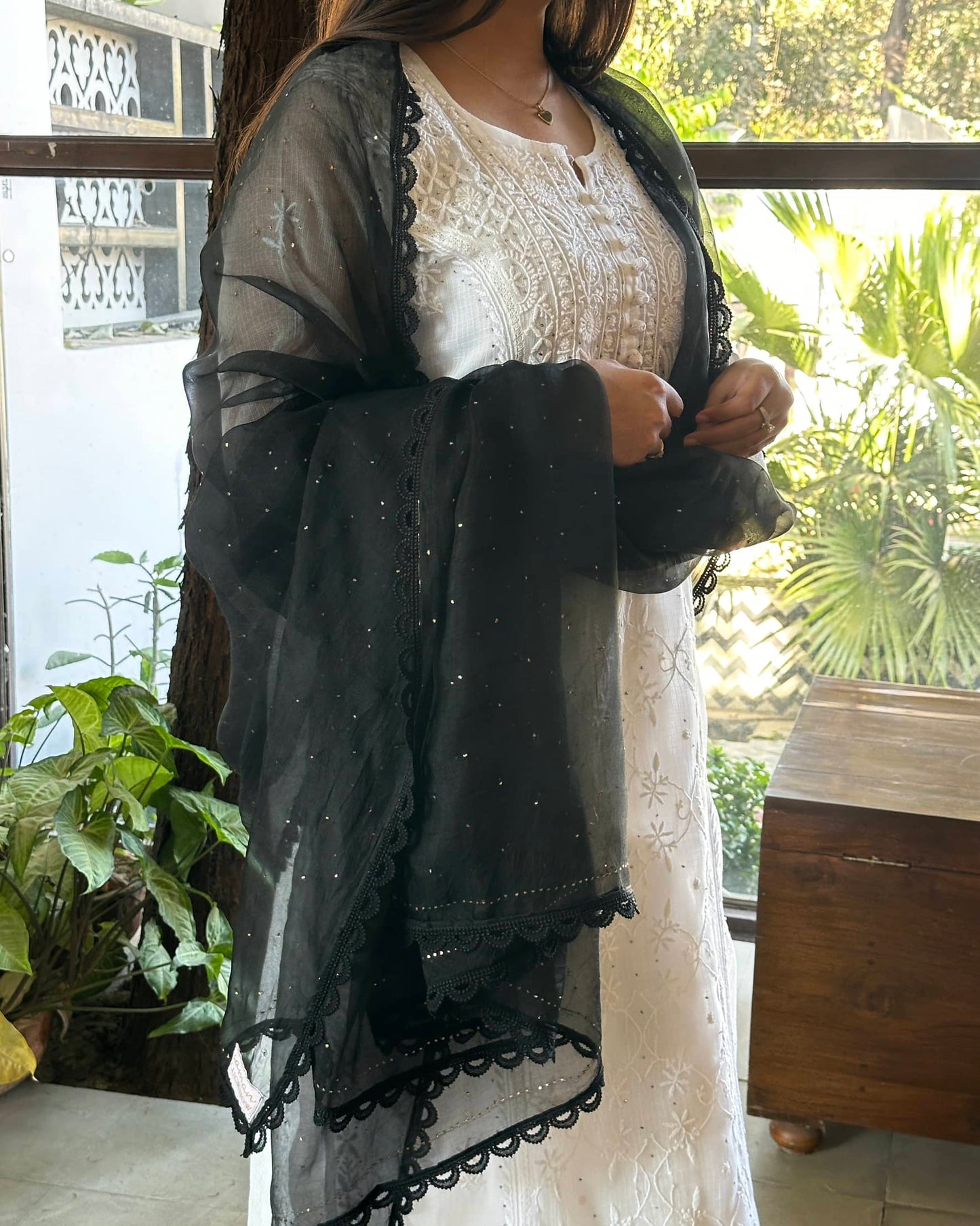 Black Kamdani Noor Organza Dupattas