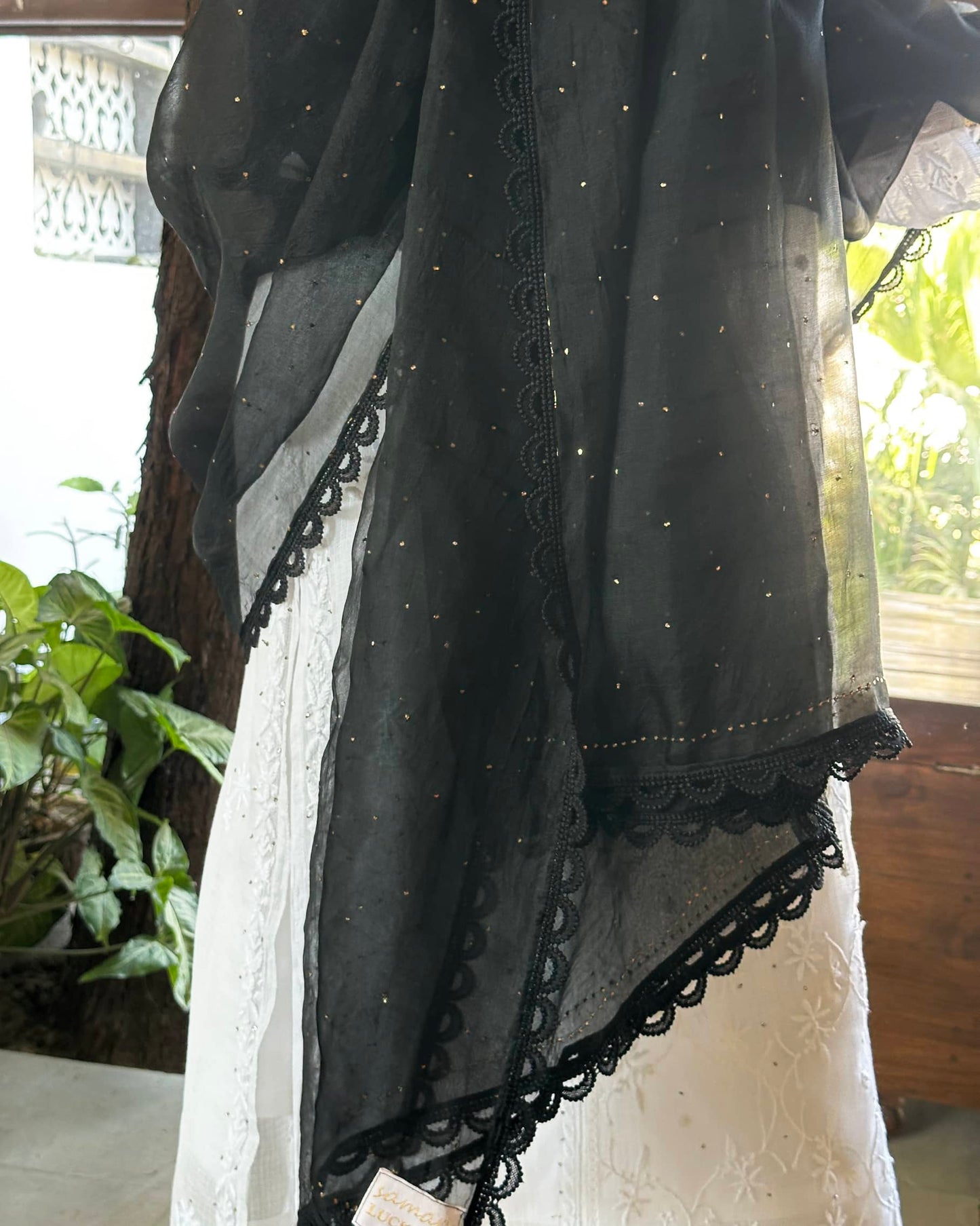 Black Kamdani Noor Organza Dupattas