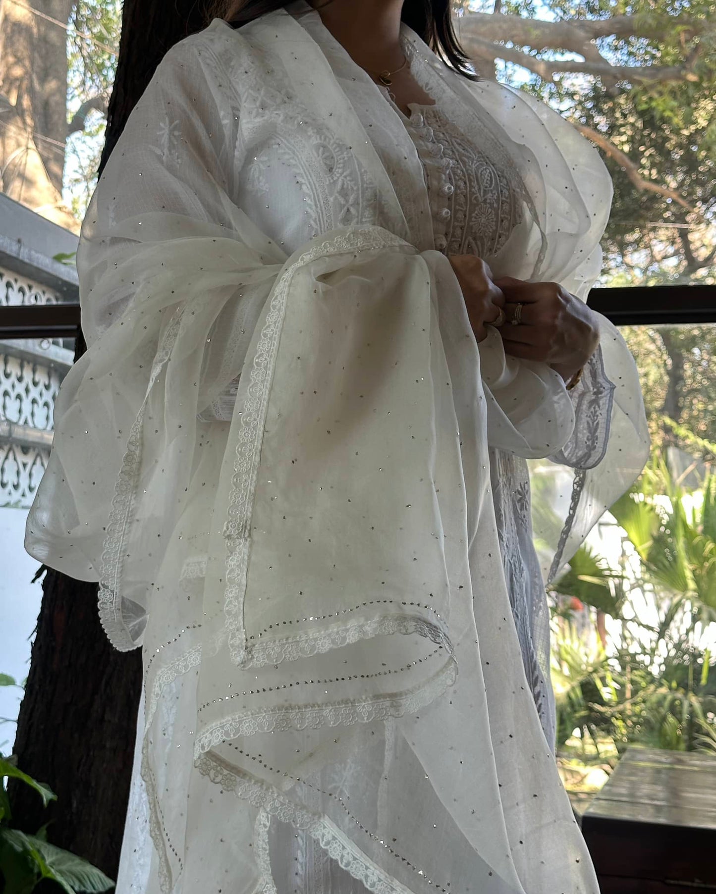 White Kamdani Noor Organza Dupattas