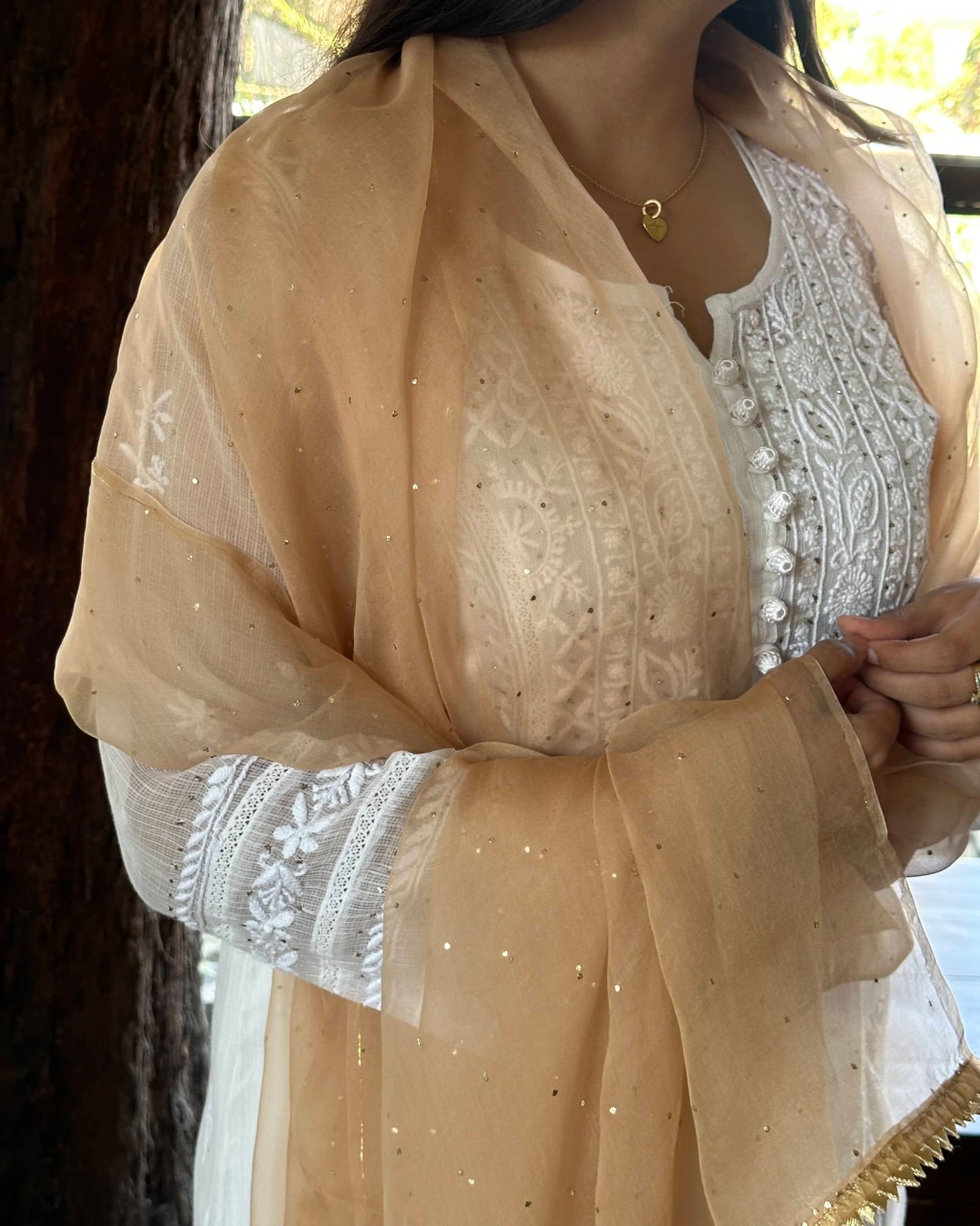 Beige Kamdani Noor Organza Dupattas