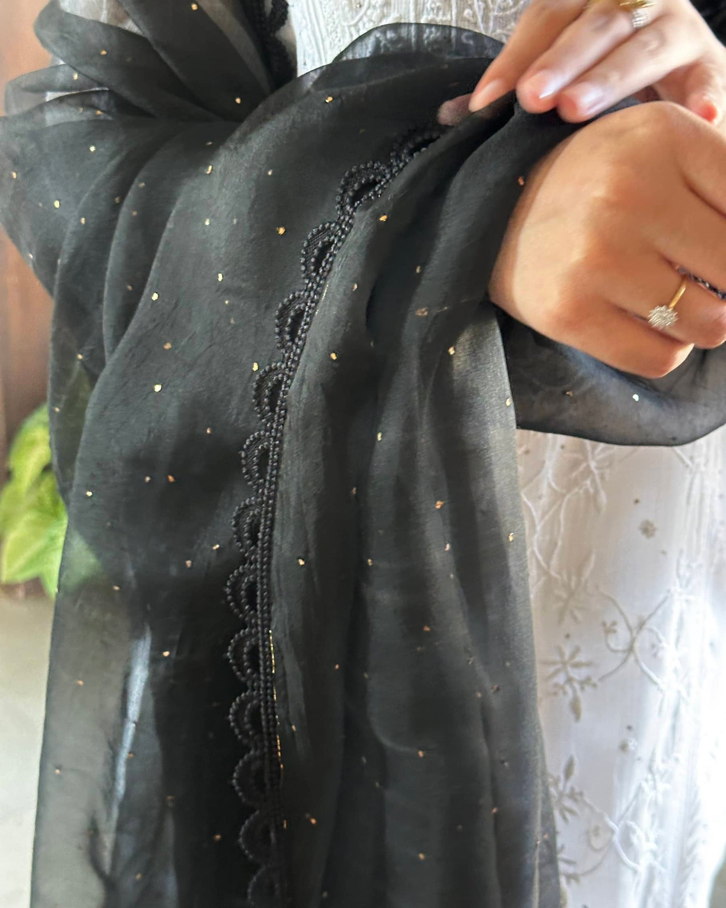 Black Kamdani Noor Organza Dupattas