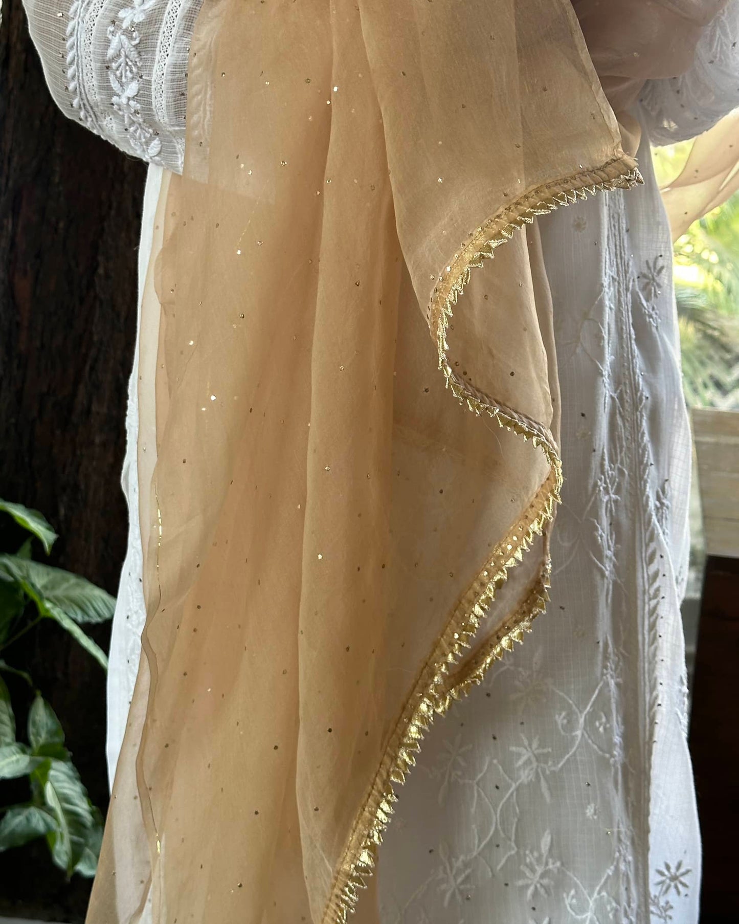 Beige Kamdani Noor Organza Dupattas