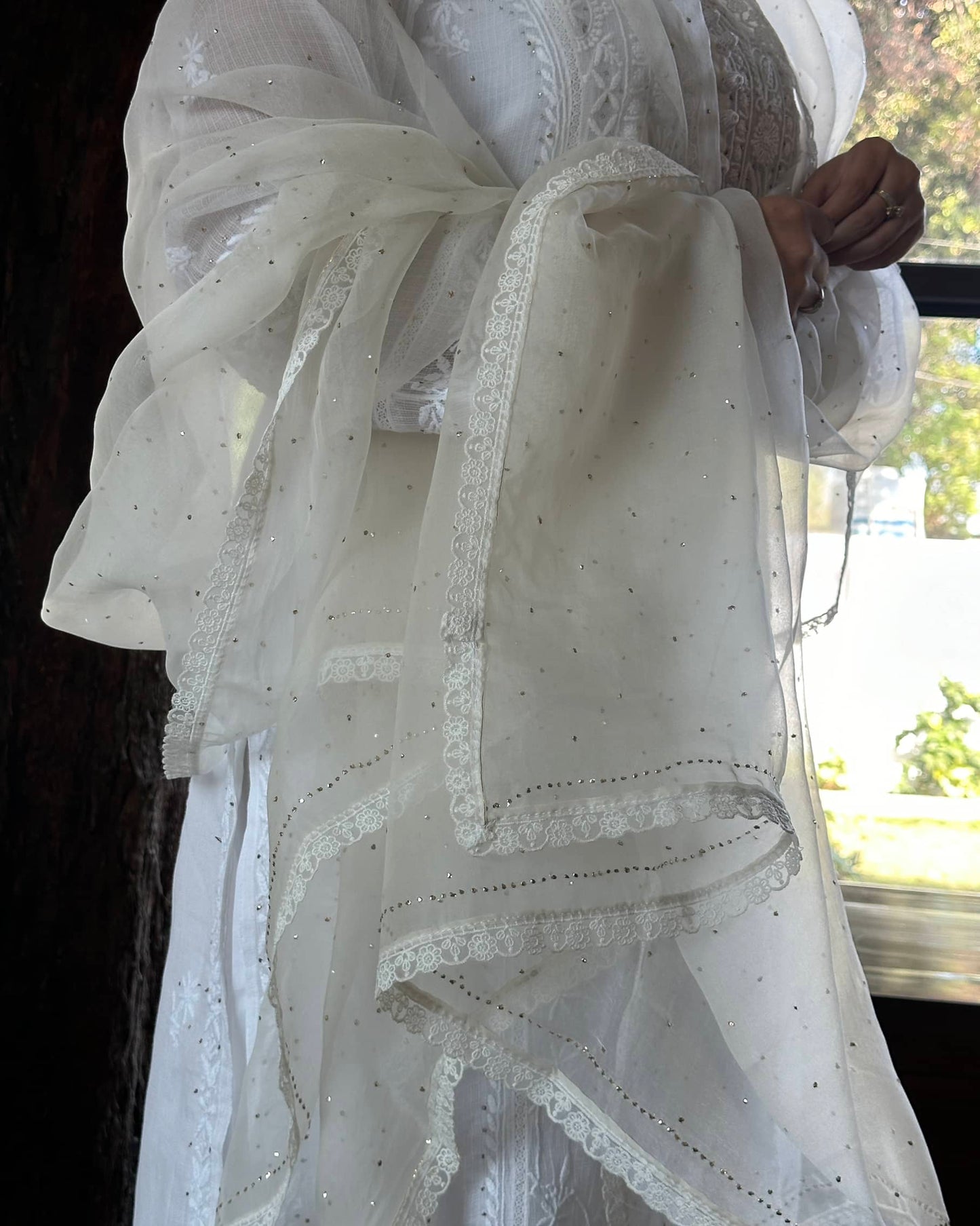 White Kamdani Noor Organza Dupattas