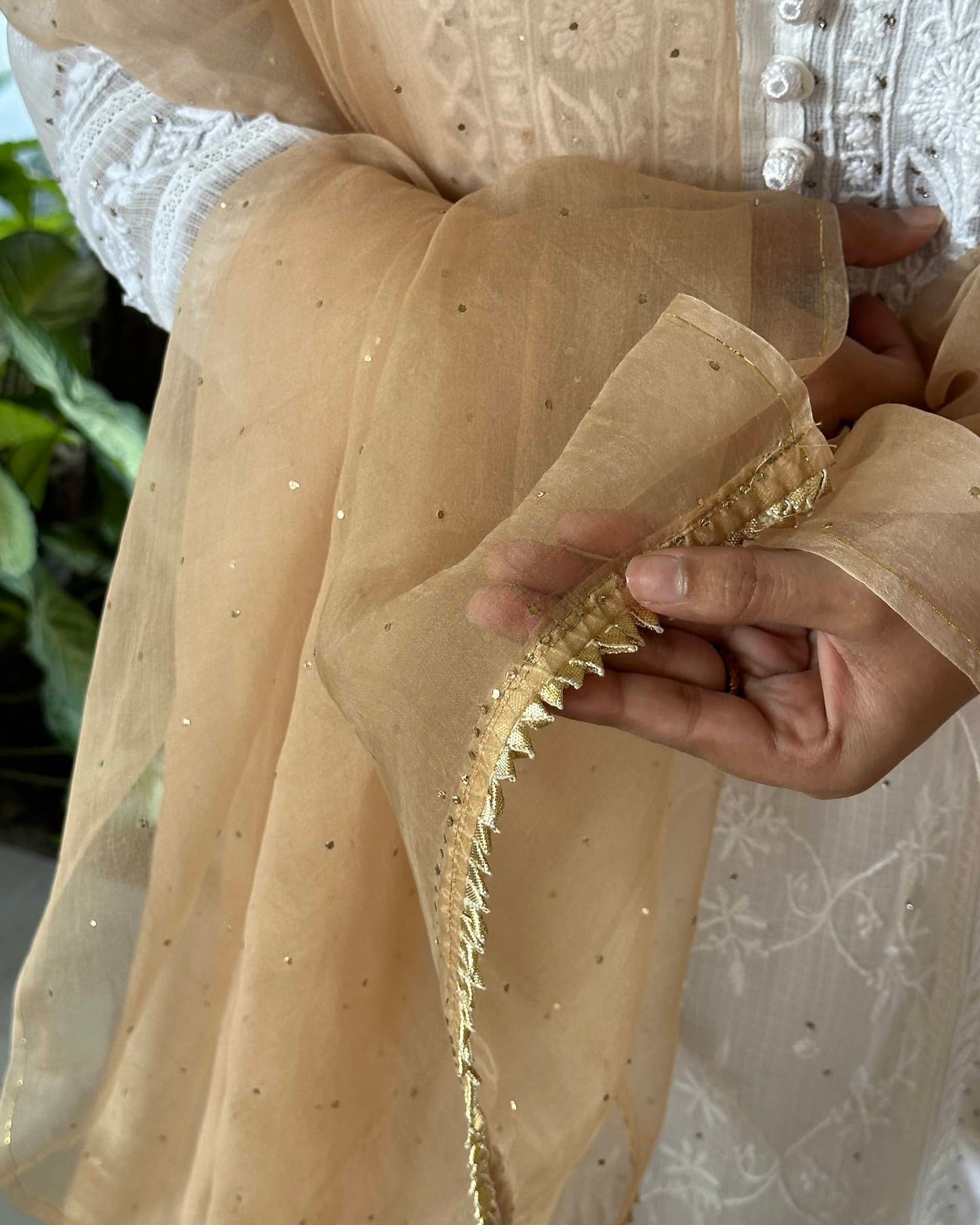 Beige Kamdani Noor Organza Dupattas