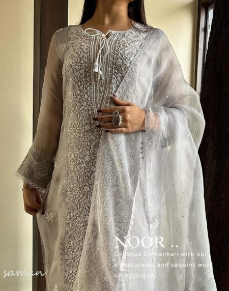 Lilac Grey Chikankari x Applique Organza Kurta Set