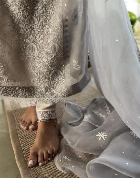 Lilac Grey Chikankari x Applique Organza Kurta Set