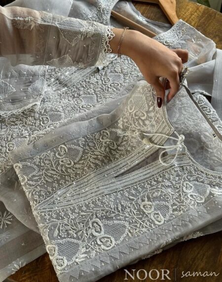 Lilac Grey Chikankari x Applique Organza Kurta Set