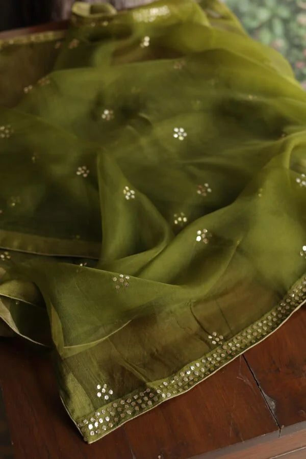 Mehndi Green Roheen Tissue Silk Chikankari Fabrics