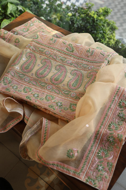 Musk Melon Shade Noor Banarasi Organza Chikankari Unstitched Fabric