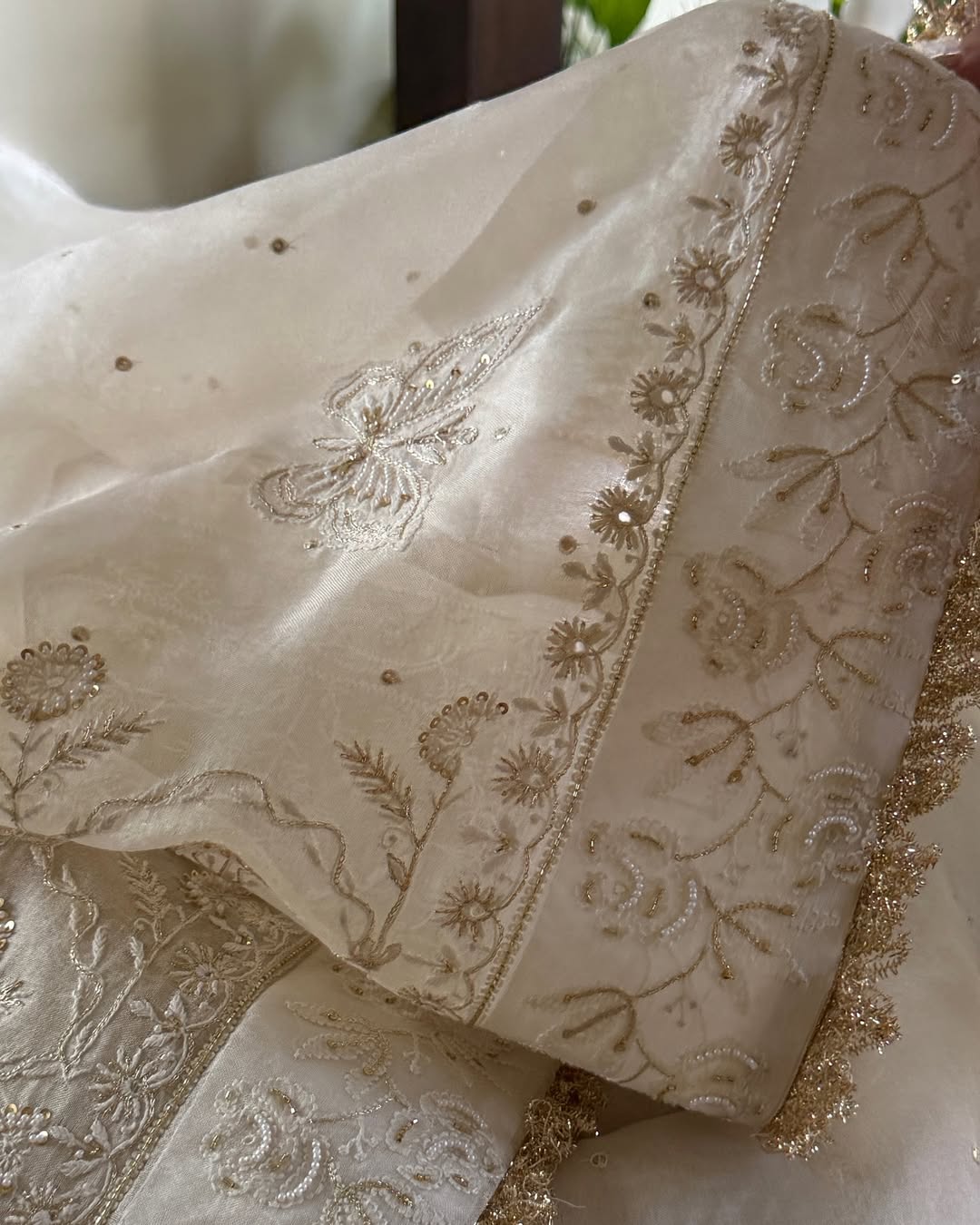Noor Organza White Butterfly Chikankari Saree