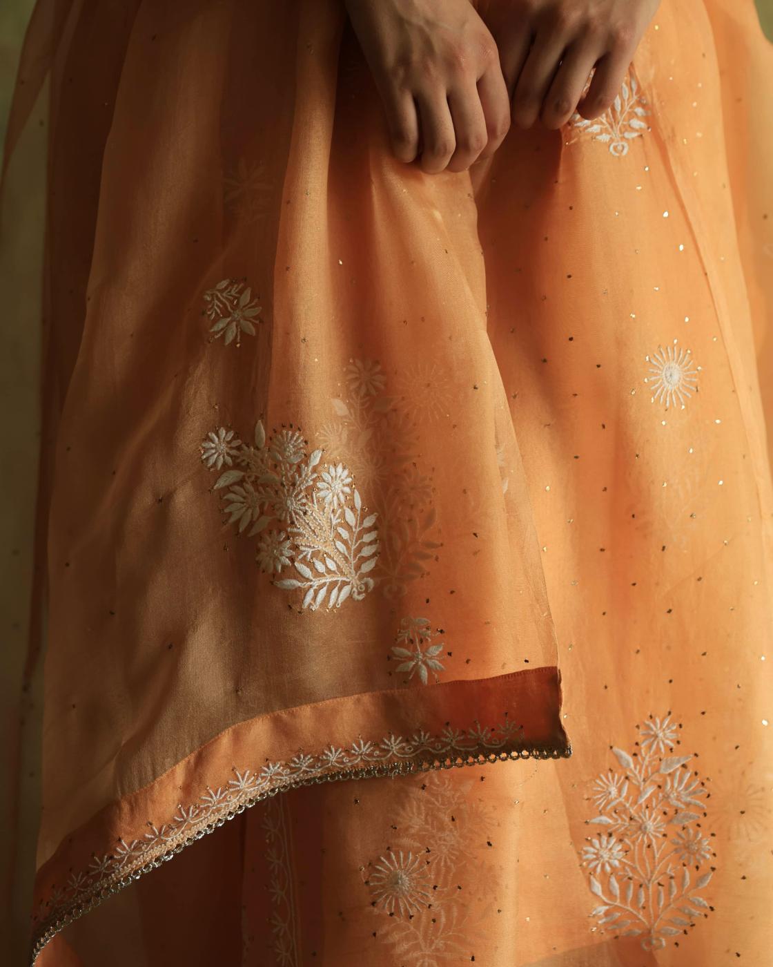 Orange Noor Organza Silk Fine Chikankari with Kamdani Ready to Wear Angarkha