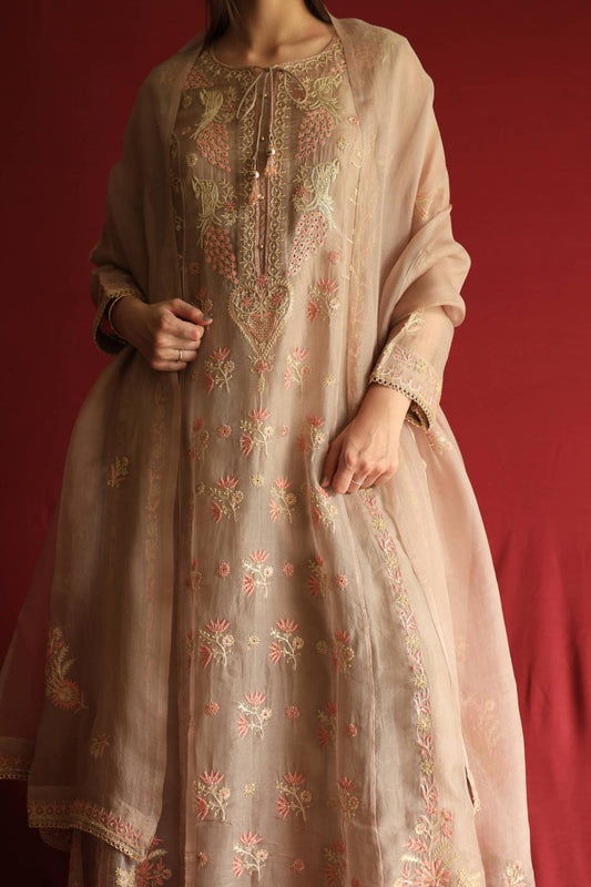 Pastel Beige Noor Organza Chikankari A Line Kurta With Dupatta