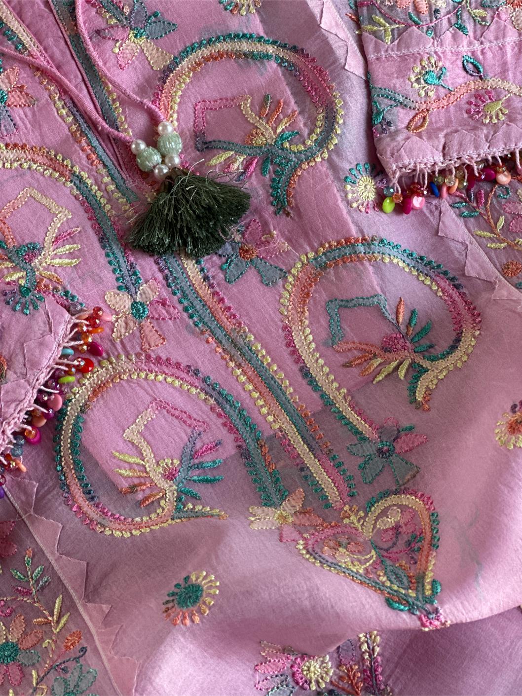 Pink Multi Coloured Noor Organza Resham Chikankari Kurta Set