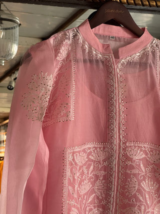 Pink Noor Organza Chikankari Collar Ready To Wear Short Top