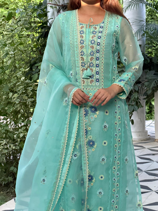 Blue Shade Noor Organza Silk Chikankari Straight Cut Kurta Dupatta Set