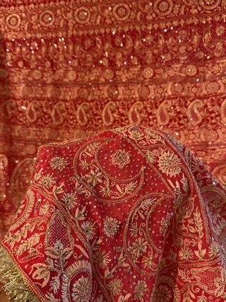 Deep Coral Shade Heavy Chikankari Jwelled Chikankari Sequinned Saree
