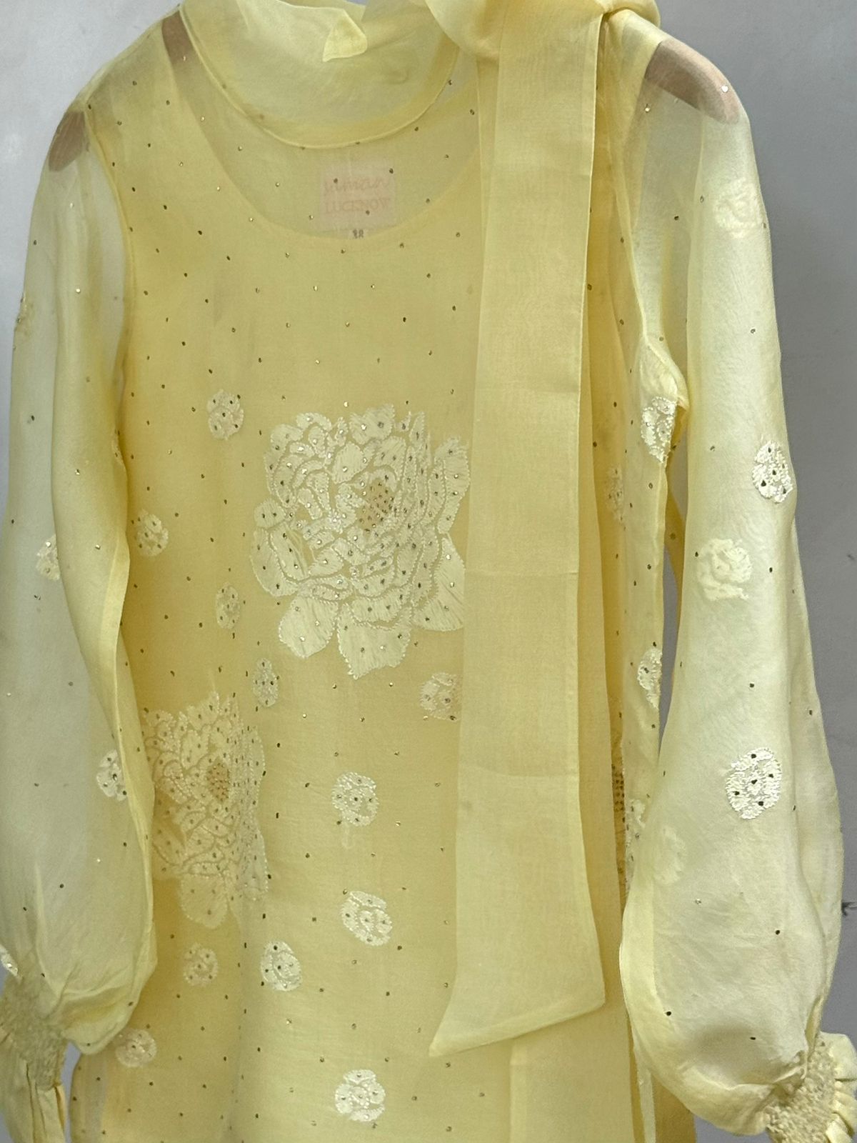 Lemon Noor Organza Resham Chikankari Short Top With Bow Tie