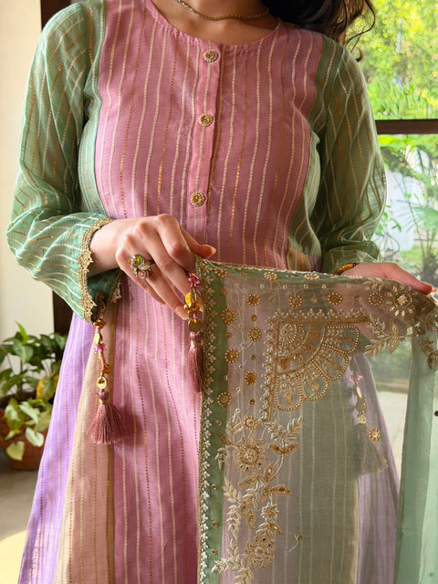 Multi Shade Kalidar Handloom Chikankari Farshi Sets