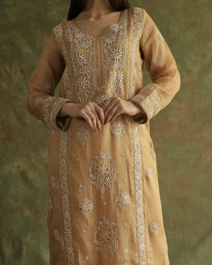 Beige Noor Organza Applique Chikankari Mukaish Kurta Dupatta Set