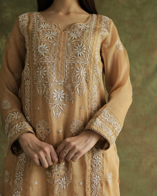 Beige Noor Organza Applique Chikankari Mukaish Kurta Dupatta Set