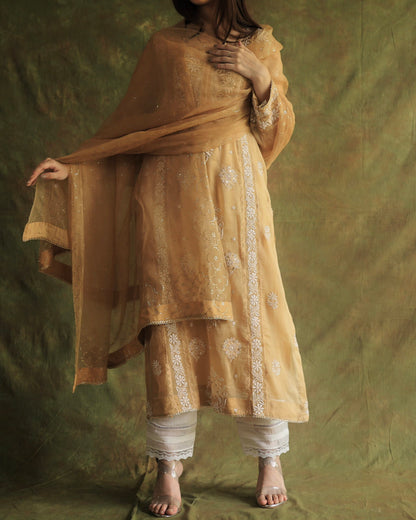 Beige Noor Organza Applique Chikankari Mukaish Kurta Dupatta Set