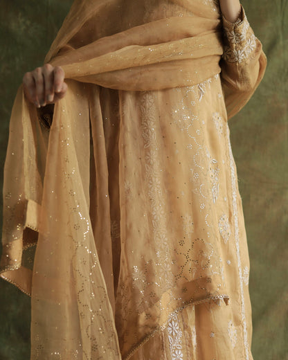 Beige Noor Organza Applique Chikankari Mukaish Kurta Dupatta Set