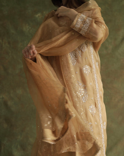 Beige Noor Organza Applique Chikankari Mukaish Kurta Dupatta Set