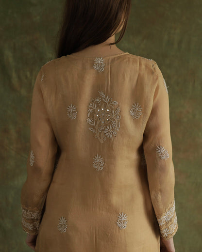 Beige Noor Organza Applique Chikankari Mukaish Kurta Dupatta Set