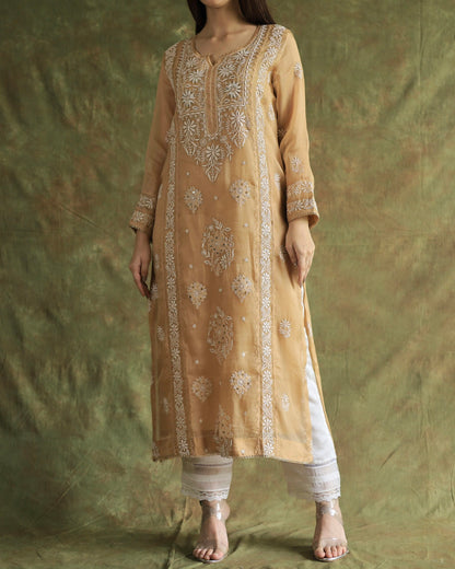 Beige Noor Organza Applique Chikankari Mukaish Kurta Dupatta Set