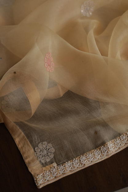 Beige Noor Organza Silk Chikankari With Mukaish Kamdani Fabric