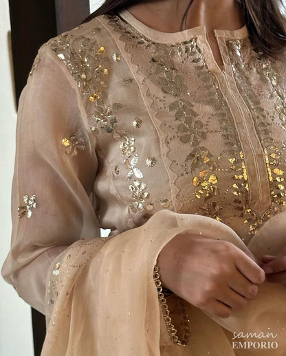 Beige Noor Organza Applique Kurta Set