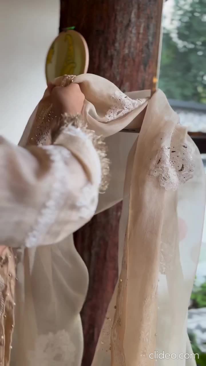 Beige Noor Organza Rose Motif Chikankari Dupatta