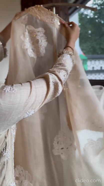 Beige Noor Organza Rose Motif Chikankari Dupatta