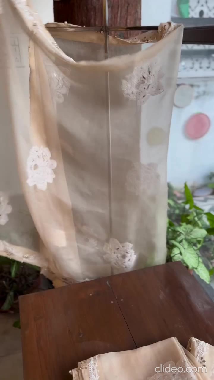 Beige Noor Organza Rose Motif Chikankari Dupatta