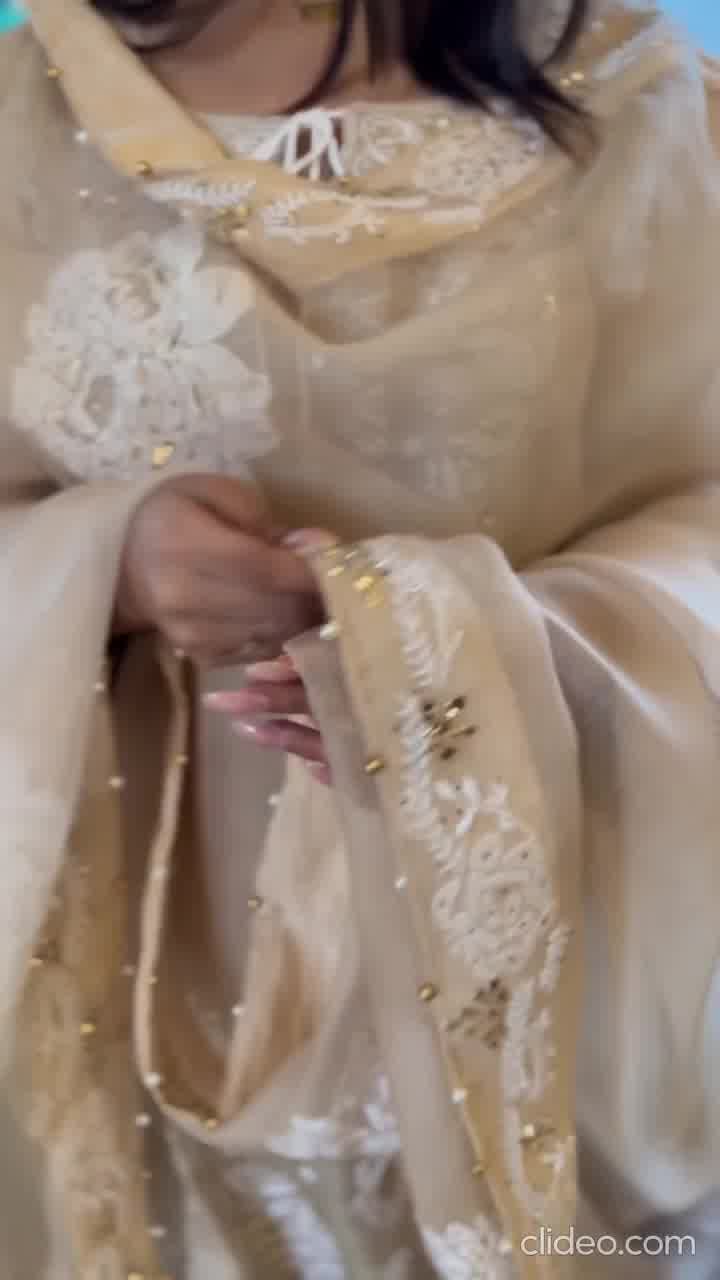 Beige Noor Organza Rose Motif Chikankari Dupatta