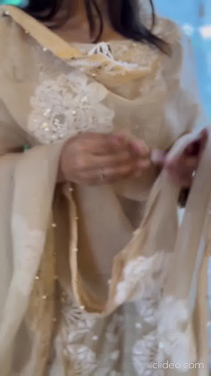 Beige Noor Organza Rose Motif Chikankari Dupatta