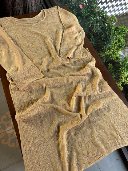 Beige Viscose Georgette Chikankari Ready to Wear Kurta