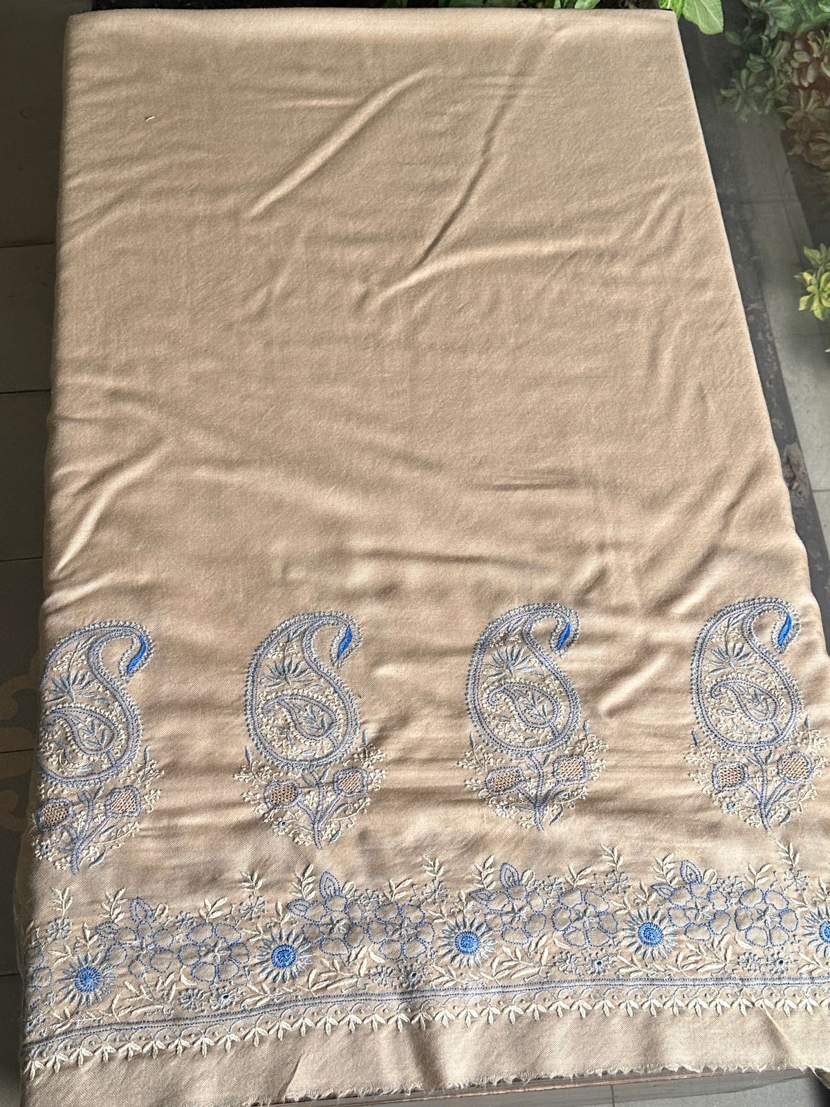 Beige & Blue Shade Saman Pashmina Fine Chikankari Shawl
