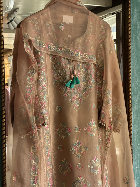 Biscuit Beige Multi Coloured Noor Organza Resham Chikankari Kurta Set
