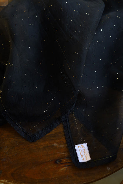 Black Noor Organza Mukaish Kamdani Dupatta