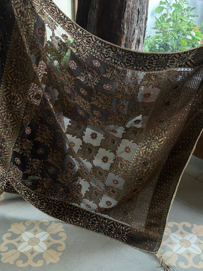 Black & Copper Organza Saree with Intricate Chikankari and Ari Work